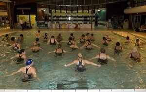 Echauffement Aquagym