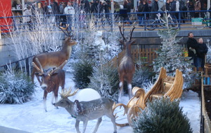 Décoration de Noel