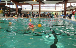 Atelier Water-polo