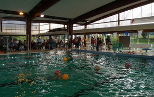 Atelier Water-polo