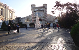 52b0a1bd11dd8_DSC01461.JPG
