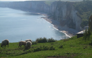 53a7ea5b43d41_25.JPG