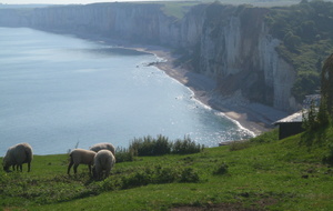 Magnifique vue sur les falaises...