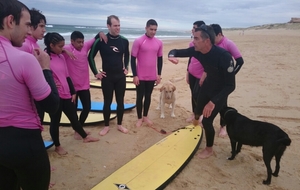 2 nouveaux compagnons,...