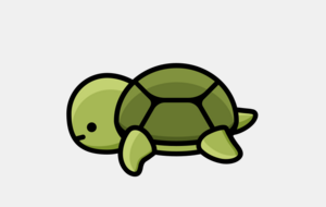TORTUES