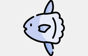 POISSONS LUNE