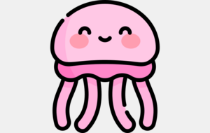 MEDUSES