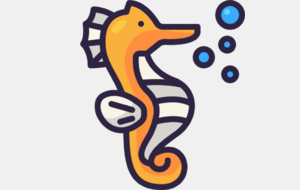 Hippocampes