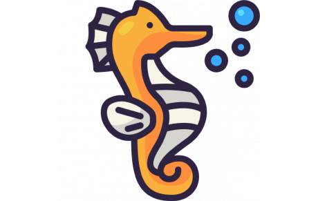 Hippocampes